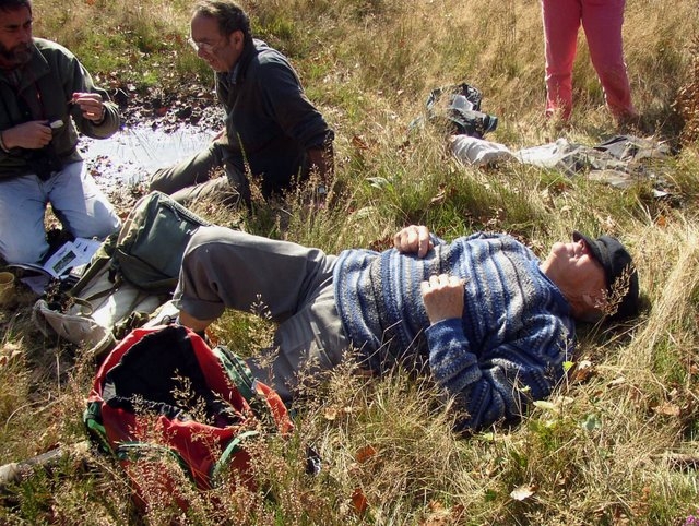 2007 10 Bois de Rochefort 21